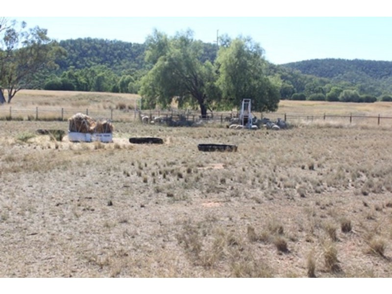 Wadgie Farm, Warialda NSW 2402