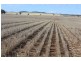Yagobie, Moree NSW 2400