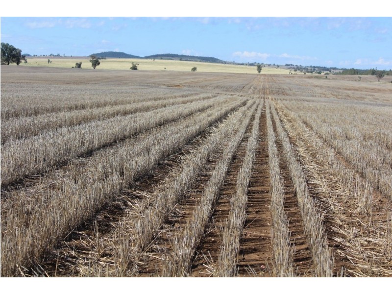 Yagobie, Moree NSW 2400