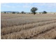 Yagobie, Moree NSW 2400