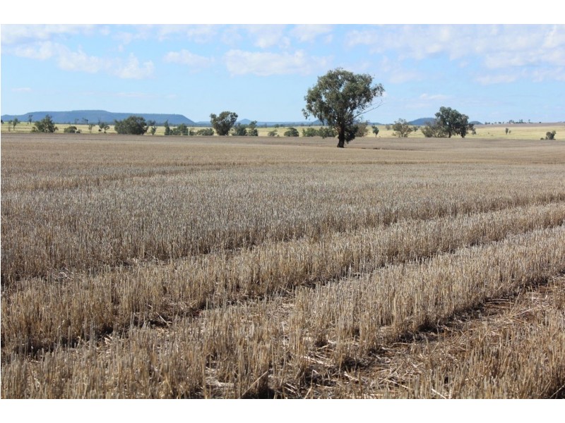 Yagobie, Moree NSW 2400