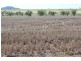 Yagobie, Moree NSW 2400