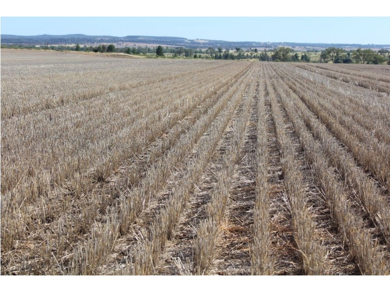 Yagobie, Moree NSW 2400