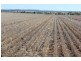 Yagobie, Moree NSW 2400