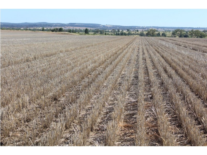 Yagobie, Moree NSW 2400