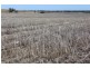 Yagobie, Moree NSW 2400