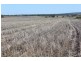 Yagobie, Moree NSW 2400