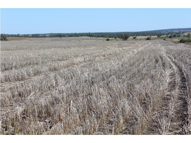 Yagobie, Moree NSW 2400