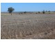 Yagobie, Moree NSW 2400