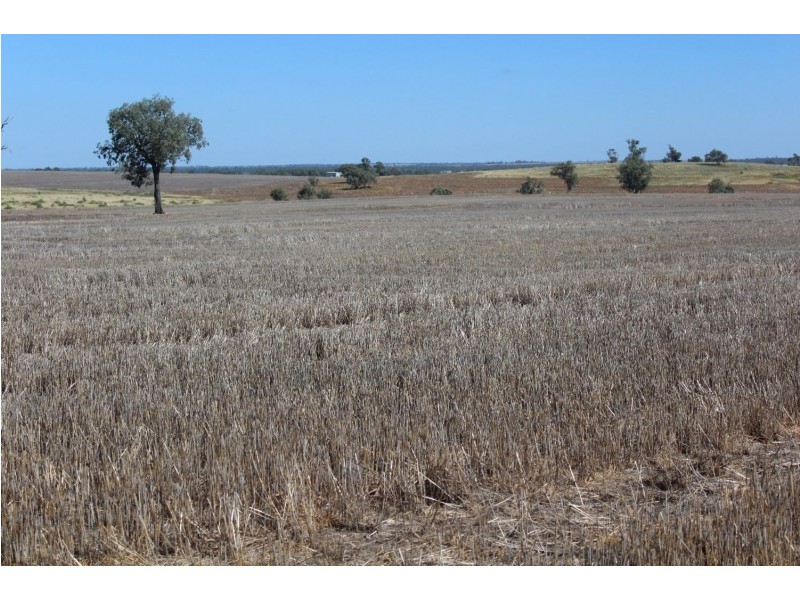 Yagobie, Moree NSW 2400