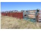Yagobie, Moree NSW 2400