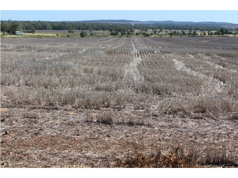 Yagobie, Moree NSW 2400