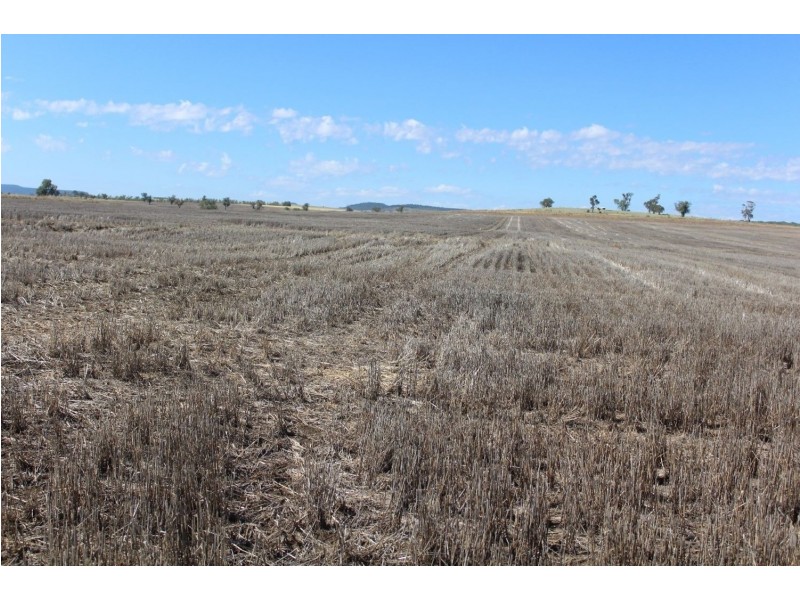 Yagobie, Moree NSW 2400