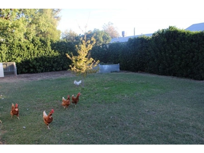 21 Edward Street, Moree NSW 2400