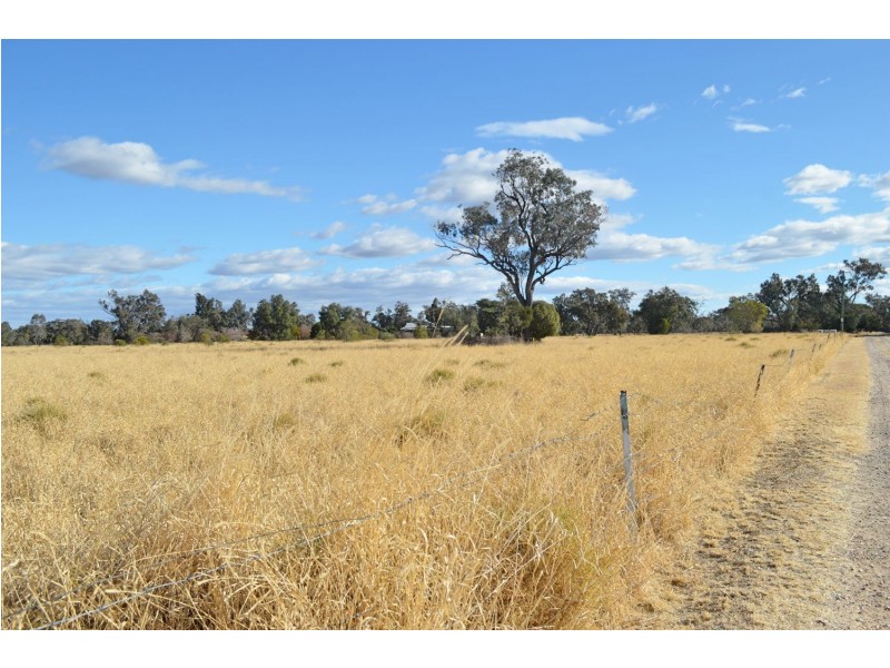 50 Tranquility Road, Moree NSW 2400