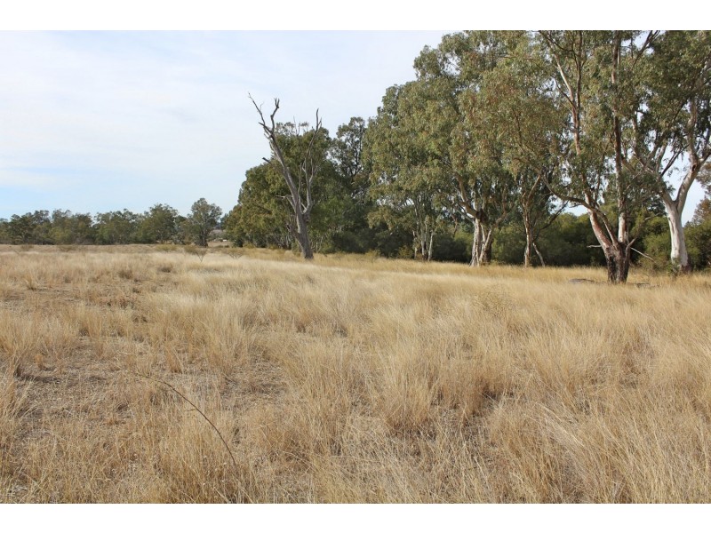 Killarney, Gravesend NSW 2401