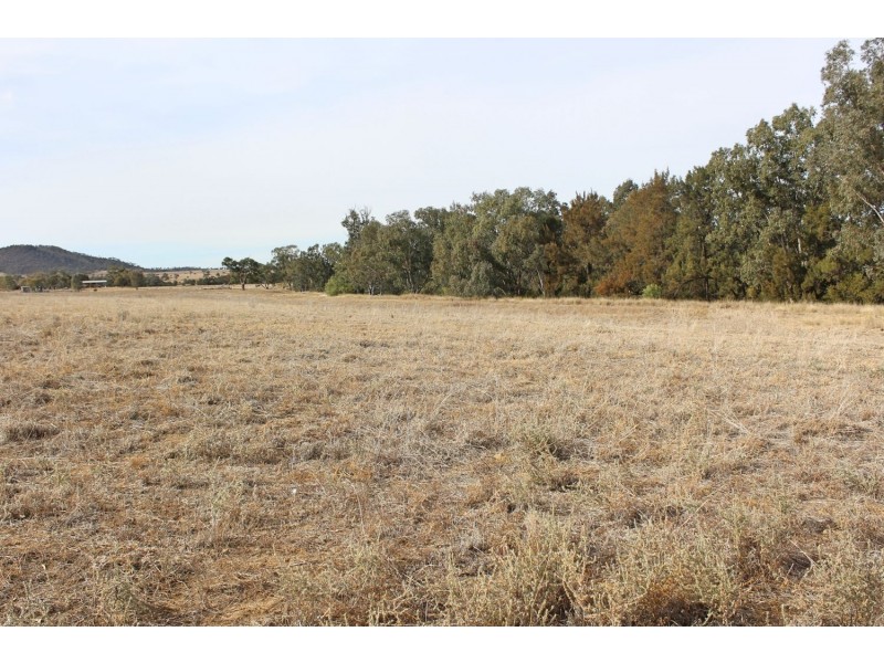 Killarney, Gravesend NSW 2401