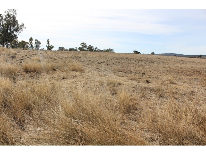 Killarney, Gravesend NSW 2401