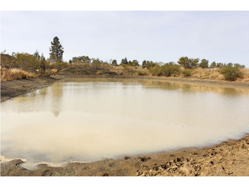 Killarney, Gravesend NSW 2401