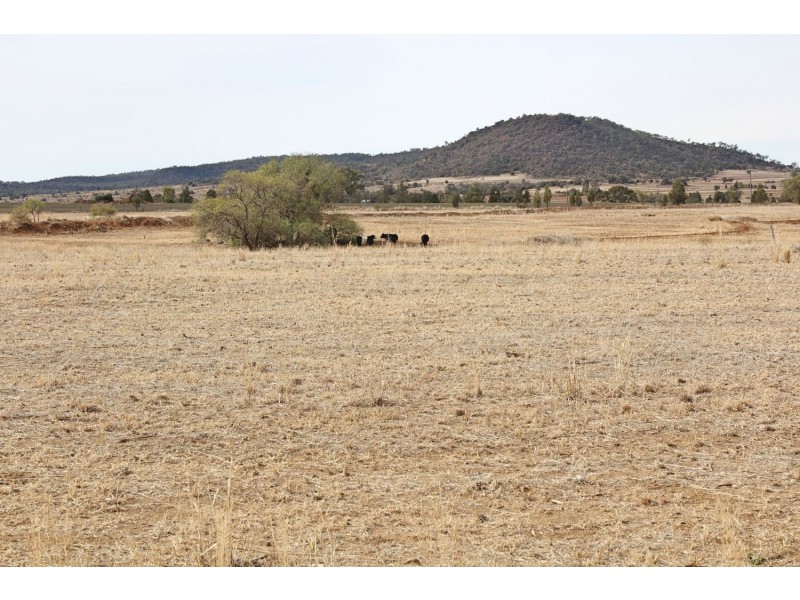 Killarney, Gravesend NSW 2401