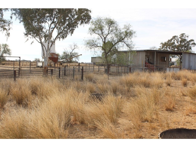 Killarney, Gravesend NSW 2401