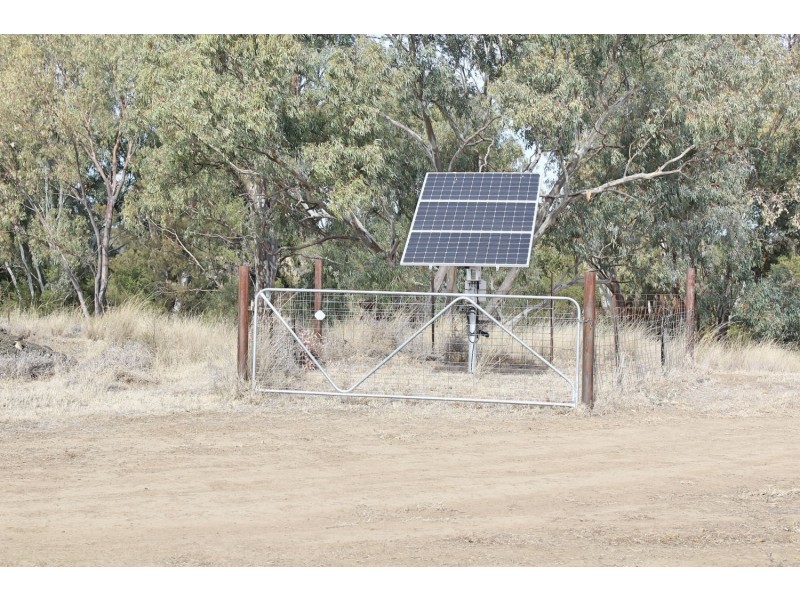 Killarney, Gravesend NSW 2401