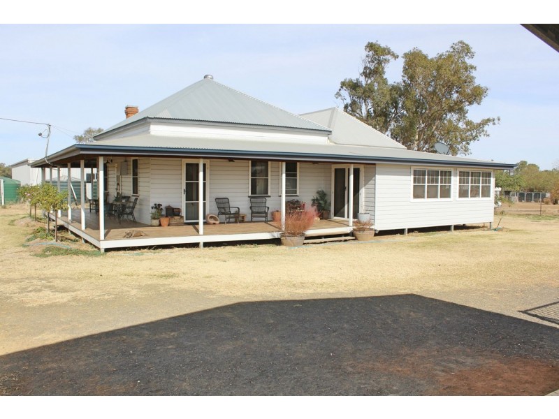 Killarney, Gravesend NSW 2401