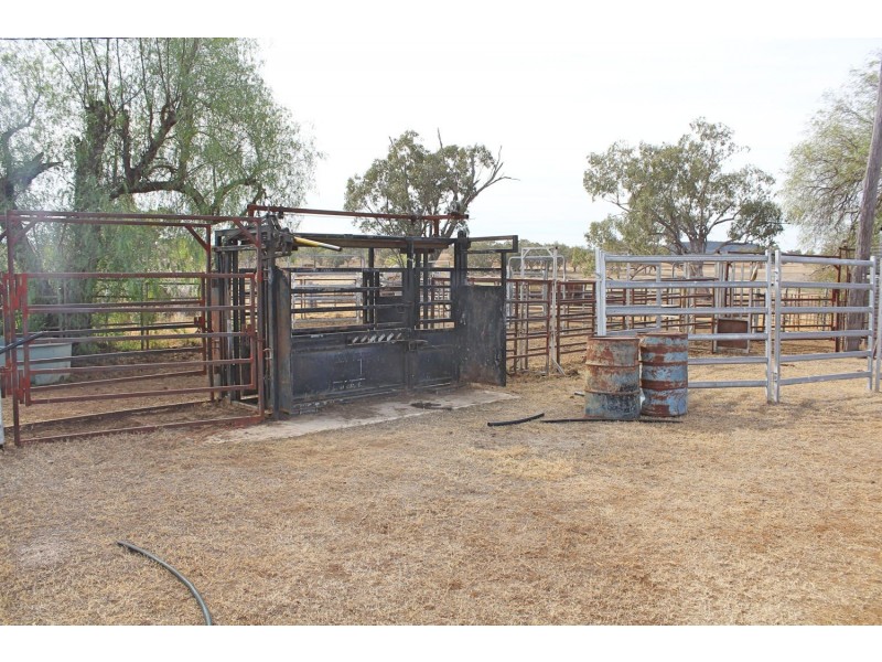 “Woodcourte”, Warialda NSW 2402