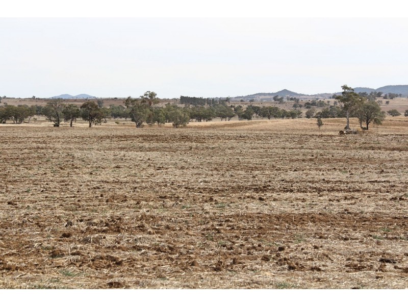 “Woodcourte”, Warialda NSW 2402