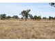 “Woodcourte”, Warialda NSW 2402