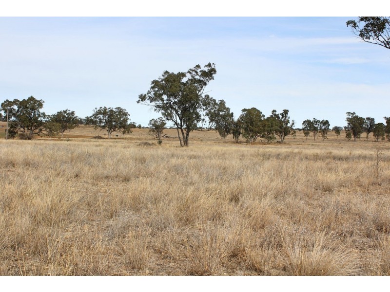 “Woodcourte”, Warialda NSW 2402