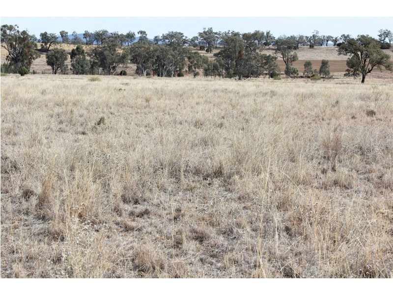 “Woodcourte”, Warialda NSW 2402