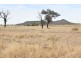 “Woodcourte”, Warialda NSW 2402