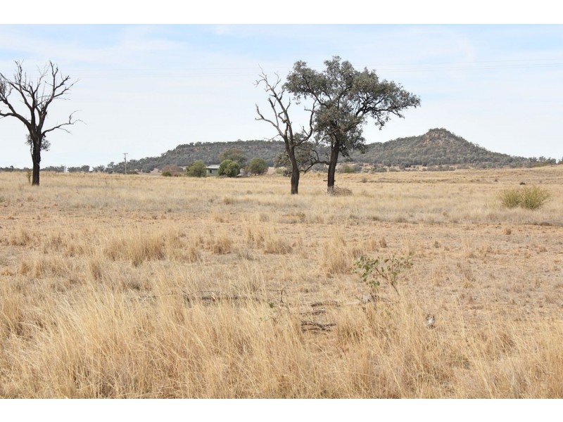“Woodcourte”, Warialda NSW 2402