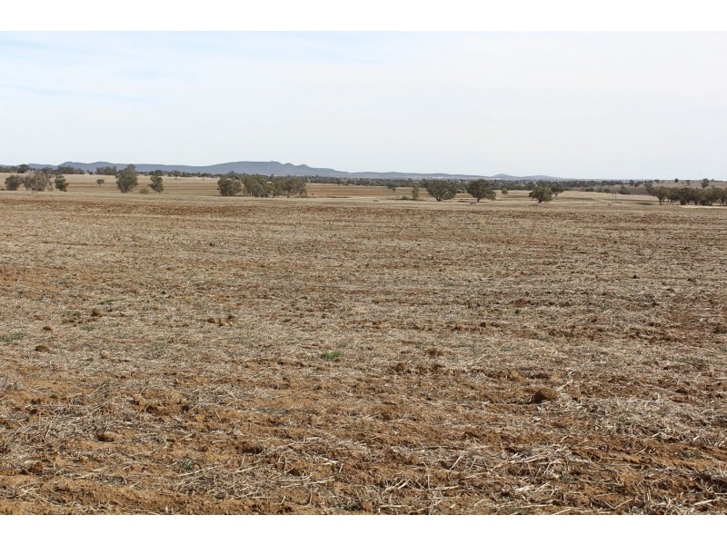 “Woodcourte”, Warialda NSW 2402
