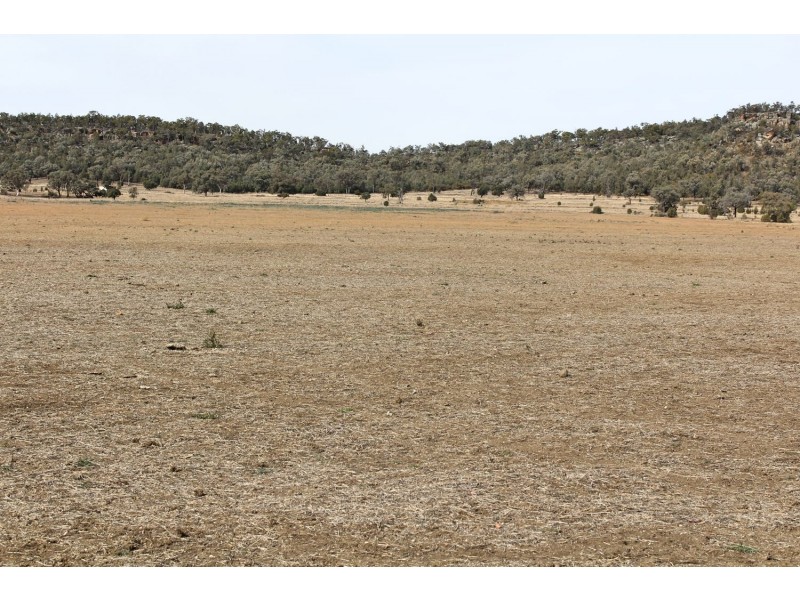 “Woodcourte”, Warialda NSW 2402