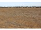 “Woodcourte”, Warialda NSW 2402