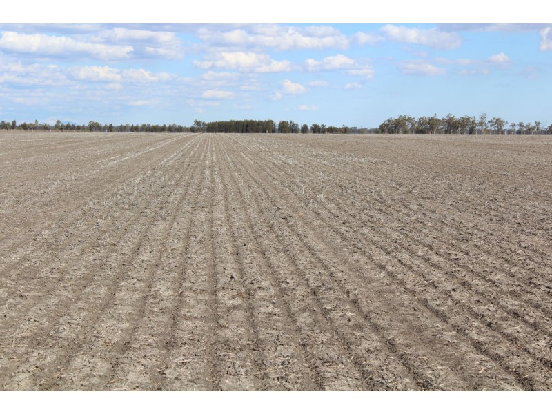 Buckie Station Aggregation, Moree NSW 2400