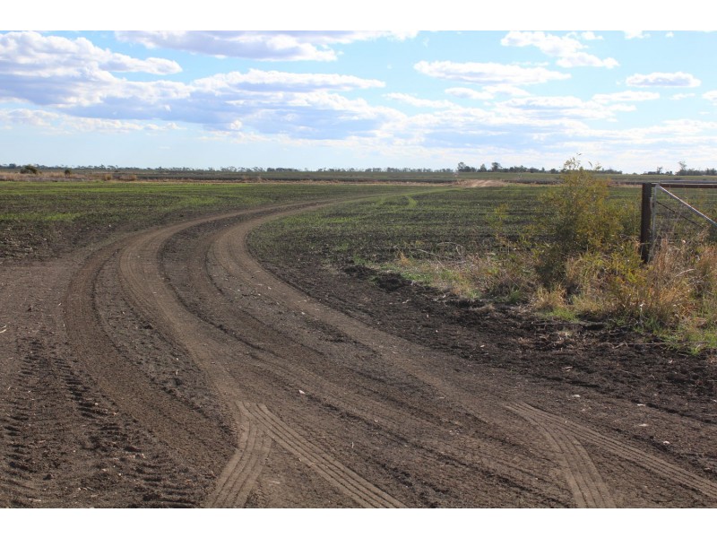 Buckie Station Aggregation, Moree NSW 2400