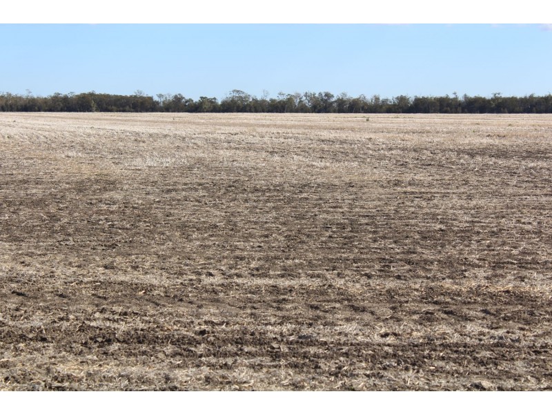 Buckie Station Aggregation, Moree NSW 2400