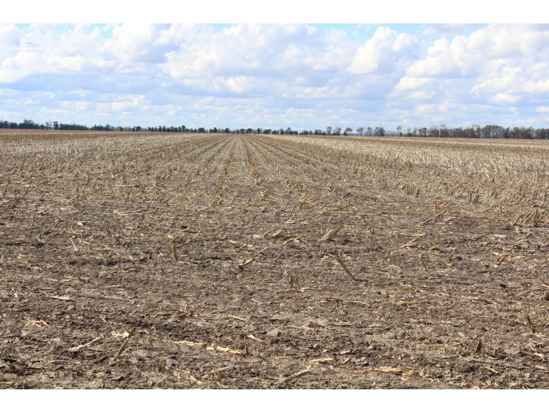 Buckie Station Aggregation, Moree NSW 2400