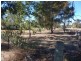 “Shalom” – 22 Boobialla Road, Moree NSW 2400