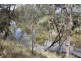 8 Bundaloey Road, Moree NSW 2400