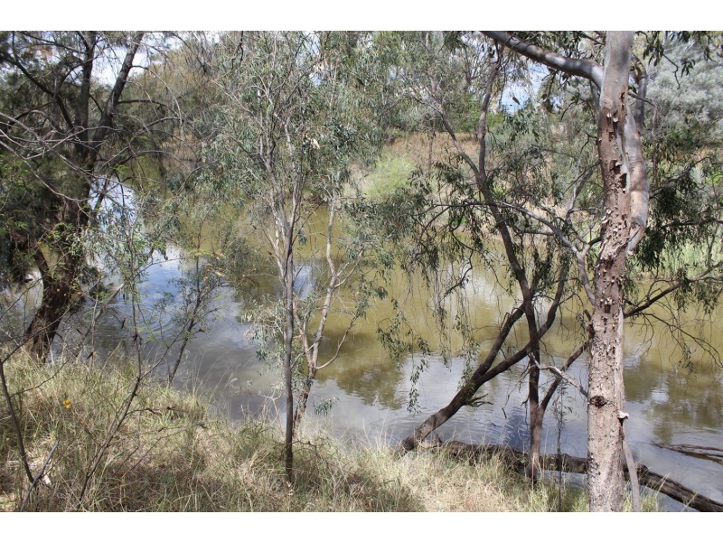 8 Bundaloey Road, Moree NSW 2400