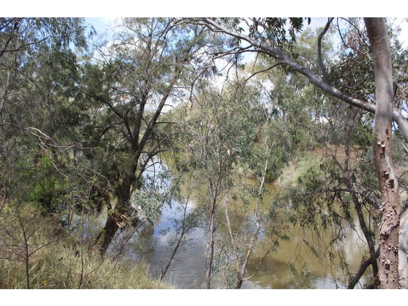 8 Bundaloey Road, Moree NSW 2400