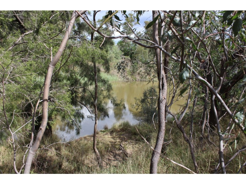 8 Bundaloey Road, Moree NSW 2400