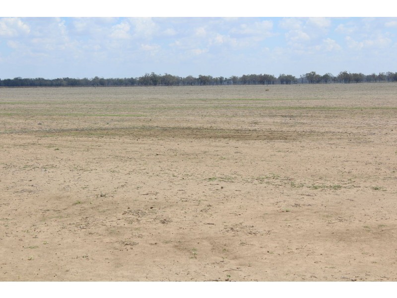 Bullarah/Moree, Moree NSW 2400