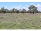 Bullarah/Moree, Moree NSW 2400