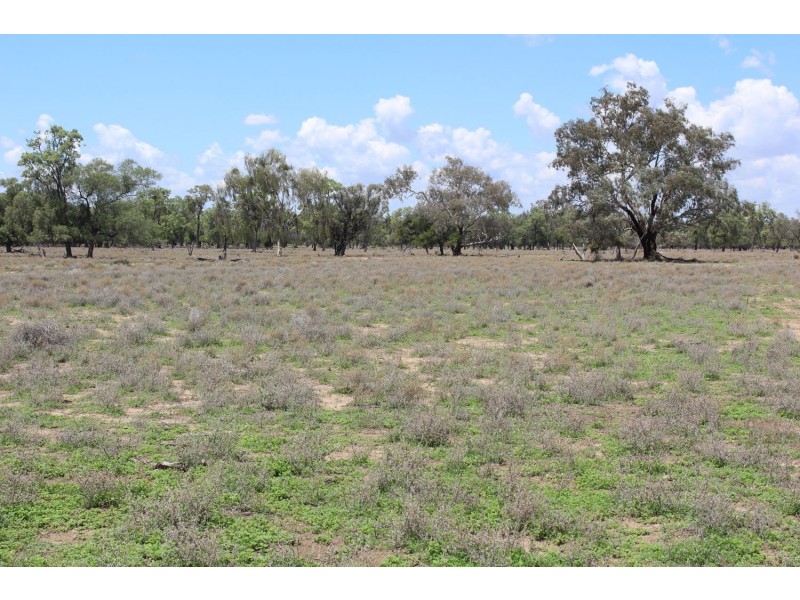 Bullarah/Moree, Moree NSW 2400