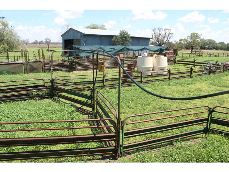 Bullarah/Moree, Moree NSW 2400